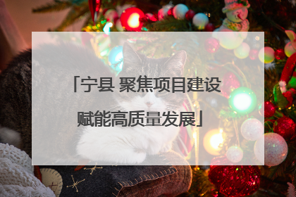 宁县 聚焦项目建设 赋能高质量发展