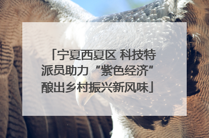 宁夏西夏区 科技特派员助力“紫色经济”酿出乡村振兴新风味