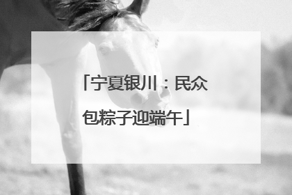 宁夏银川：民众包粽子迎端午
