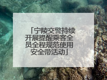 宁陵交警持续开展提醒乘客全员全程规范使用安全带活动