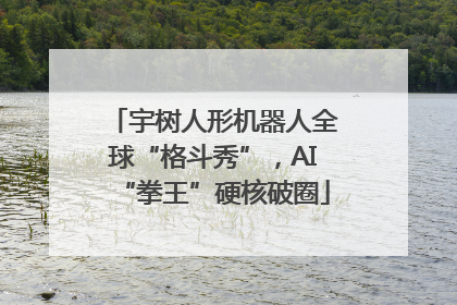 宇树人形机器人全球“格斗秀”，AI“拳王”硬核破圈