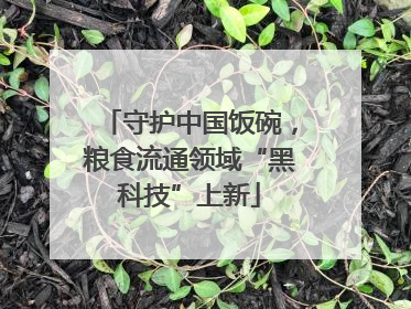 守护中国饭碗，粮食流通领域“黑科技”上新