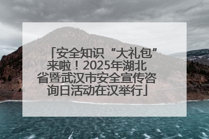安全知识“大礼包”来啦！2025年湖北省暨武汉市安全宣传咨询日活动在汉举行