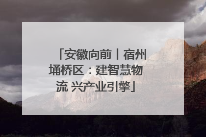 安徽向前丨宿州埇桥区：建智慧物流 兴产业引擎