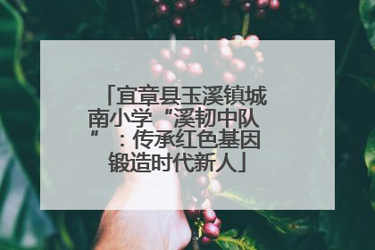 宜章县玉溪镇城南小学“溪韧中队”：传承红色基因 锻造时代新人