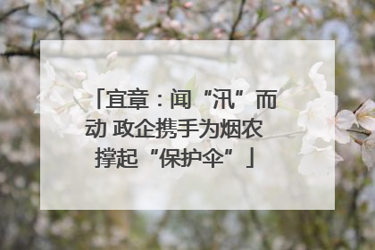 宜章：闻“汛”而动 政企携手为烟农撑起“保护伞”