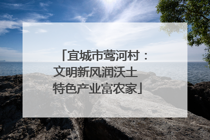 宜城市莺河村：文明新风润沃土 特色产业富农家