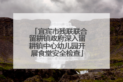 宜宾市残联联合留耕镇政府深入留耕镇中心幼儿园开展食堂安全检查