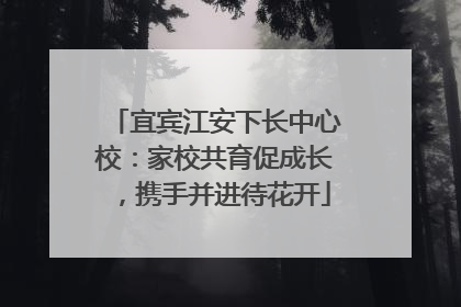 宜宾江安下长中心校：家校共育促成长，携手并进待花开