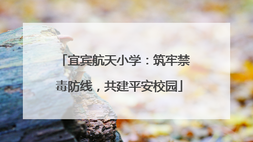 宜宾航天小学：筑牢禁毒防线，共建平安校园