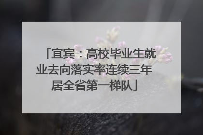 宜宾：高校毕业生就业去向落实率连续三年居全省第一梯队