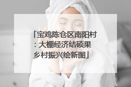 宝鸡陈仓区南阳村：大棚经济结硕果 乡村振兴绘新图