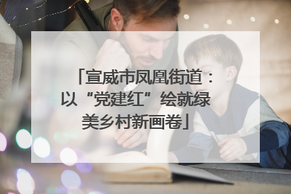 宣威市凤凰街道：以“党建红”绘就绿美乡村新画卷