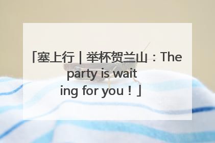 塞上行｜举杯贺兰山：The party is waiting for you！