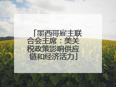 墨西哥雇主联合会主席：美关税政策影响供应链和经济活力