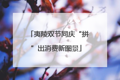 夷陵双节同庆“拼”出消费新图景