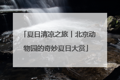 夏日清凉之旅丨北京动物园的奇妙夏日大赏