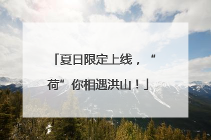 夏日限定上线，“荷”你相遇洪山！