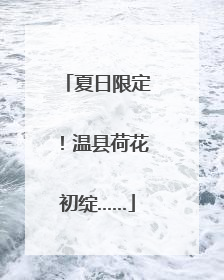 夏日限定！温县荷花初绽……