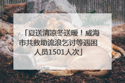 夏送清凉冬送暖！威海市共救助流浪乞讨等遇困人员1501人次
