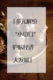 多元解纷“小切口” 护航经济大发展