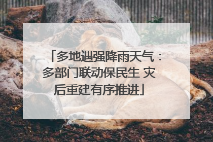 多地遇强降雨天气：多部门联动保民生 灾后重建有序推进