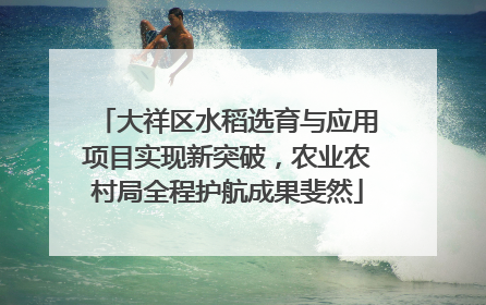 大祥区水稻选育与应用项目实现新突破，农业农村局全程护航成果斐然