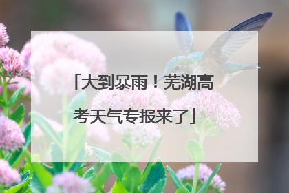 大到暴雨！芜湖高考天气专报来了