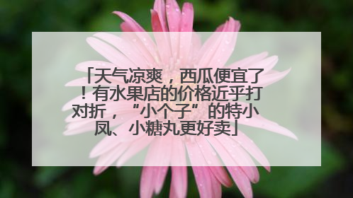 天气凉爽，西瓜便宜了！有水果店的价格近乎打对折，“小个子”的特小凤、小糖丸更好卖
