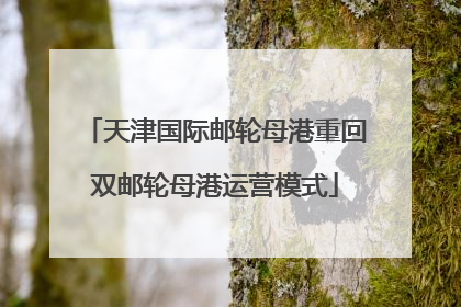 天津国际邮轮母港重回双邮轮母港运营模式
