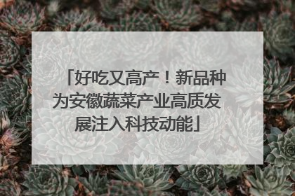 好吃又高产！新品种为安徽蔬菜产业高质发展注入科技动能