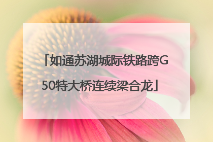 如通苏湖城际铁路跨G50特大桥连续梁合龙