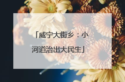 威宁大街乡：小河道治出大民生