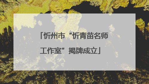 忻州市“忻青苗名师工作室”揭牌成立