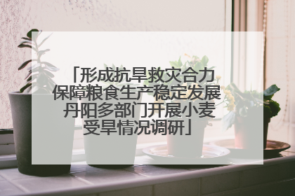 形成抗旱救灾合力 保障粮食生产稳定发展 丹阳多部门开展小麦受旱情况调研