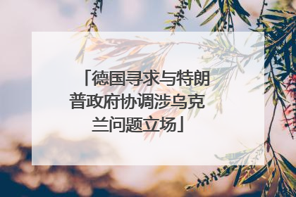 德国寻求与特朗普政府协调涉乌克兰问题立场