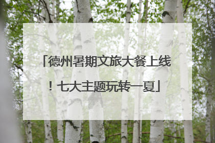 德州暑期文旅大餐上线！七大主题玩转一夏