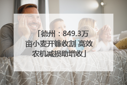德州：849.3万亩小麦开镰收割 高效农机减损助增收