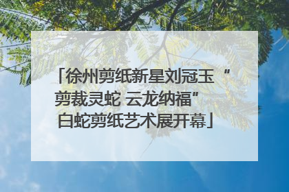 徐州剪纸新星刘冠玉“剪裁灵蛇 云龙纳福” 白蛇剪纸艺术展开幕