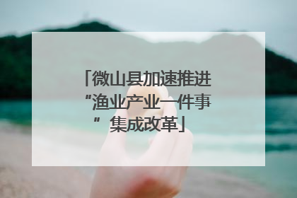 微山县加速推进“渔业产业一件事”集成改革