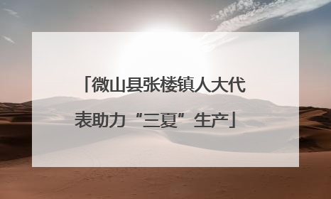 微山县张楼镇人大代表助力“三夏”生产