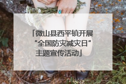 微山县西平镇开展“全国防灾减灾日”主题宣传活动