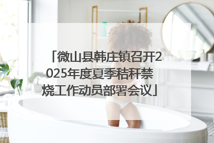 微山县韩庄镇召开2025年度夏季秸秆禁烧工作动员部署会议