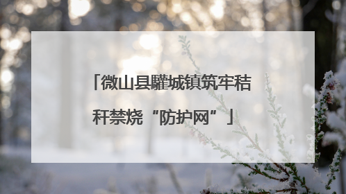 微山县驩城镇筑牢秸秆禁烧“防护网”