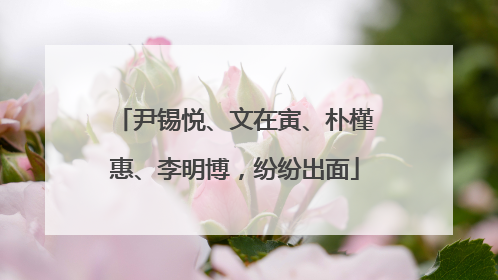 尹锡悦、文在寅、朴槿惠、李明博，纷纷出面