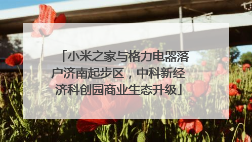 小米之家与格力电器落户济南起步区，中科新经济科创园商业生态升级