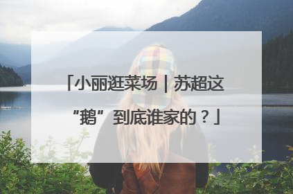 小丽逛菜场｜苏超这“鹅”到底谁家的？