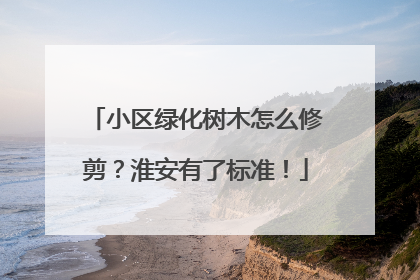 小区绿化树木怎么修剪？淮安有了标准！