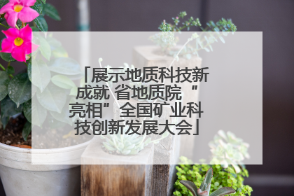 展示地质科技新成就 省地质院“亮相”全国矿业科技创新发展大会