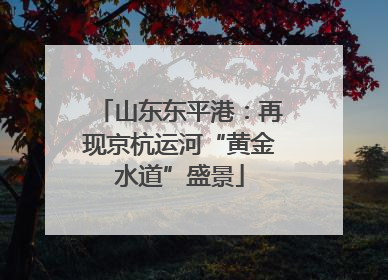 山东东平港：再现京杭运河“黄金水道”盛景